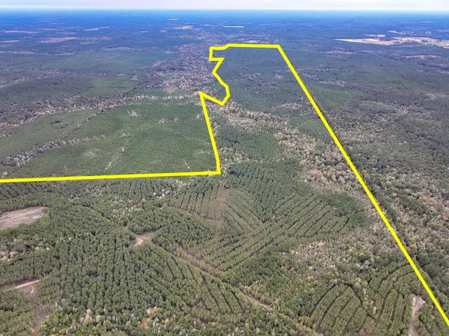 $1,730,865 | 0 Off Fm 1746, Hillister, TX 77624