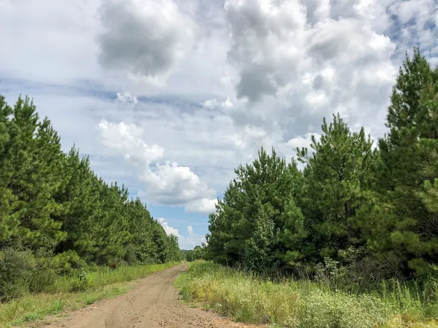 $1,730,865 | 0 Off Fm 1746, Hillister, TX 77624