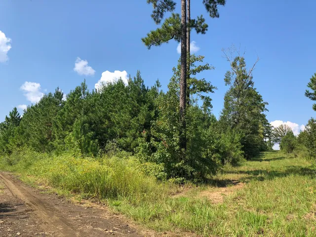 $1,730,865 | 0 Off Fm 1746, Hillister, TX 77624