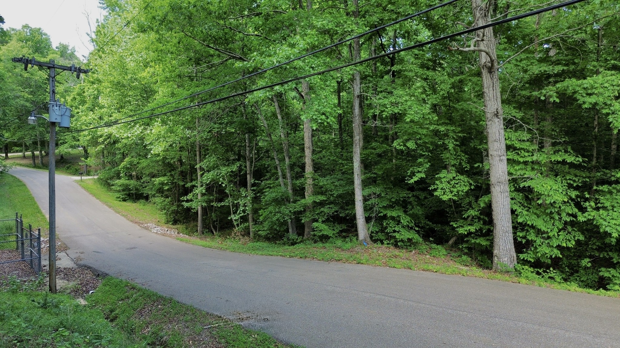 0 George Street Camden, TN 38320 - Photo 11 of 12 a view of a yard with plants and a trees