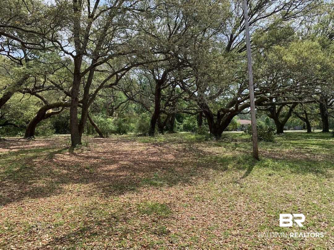 9587 John Hall Lane Foley, AL 36535 - Photo 13 of 19 Land View