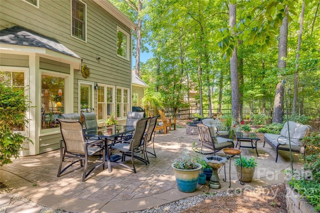 29008 Silver Fox Drive Tega Cay, SC 29708 - Photo 40 of 48