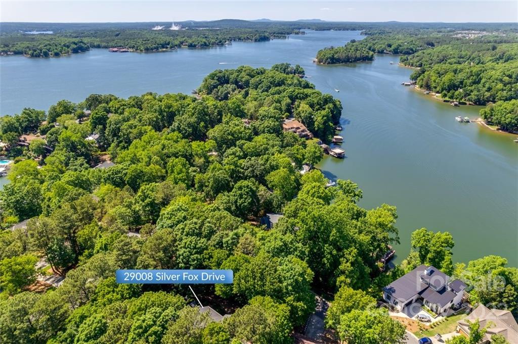 29008 Silver Fox Drive Tega Cay, SC 29708 - Photo 47 of 48 an aerial view of a houses with a lake view