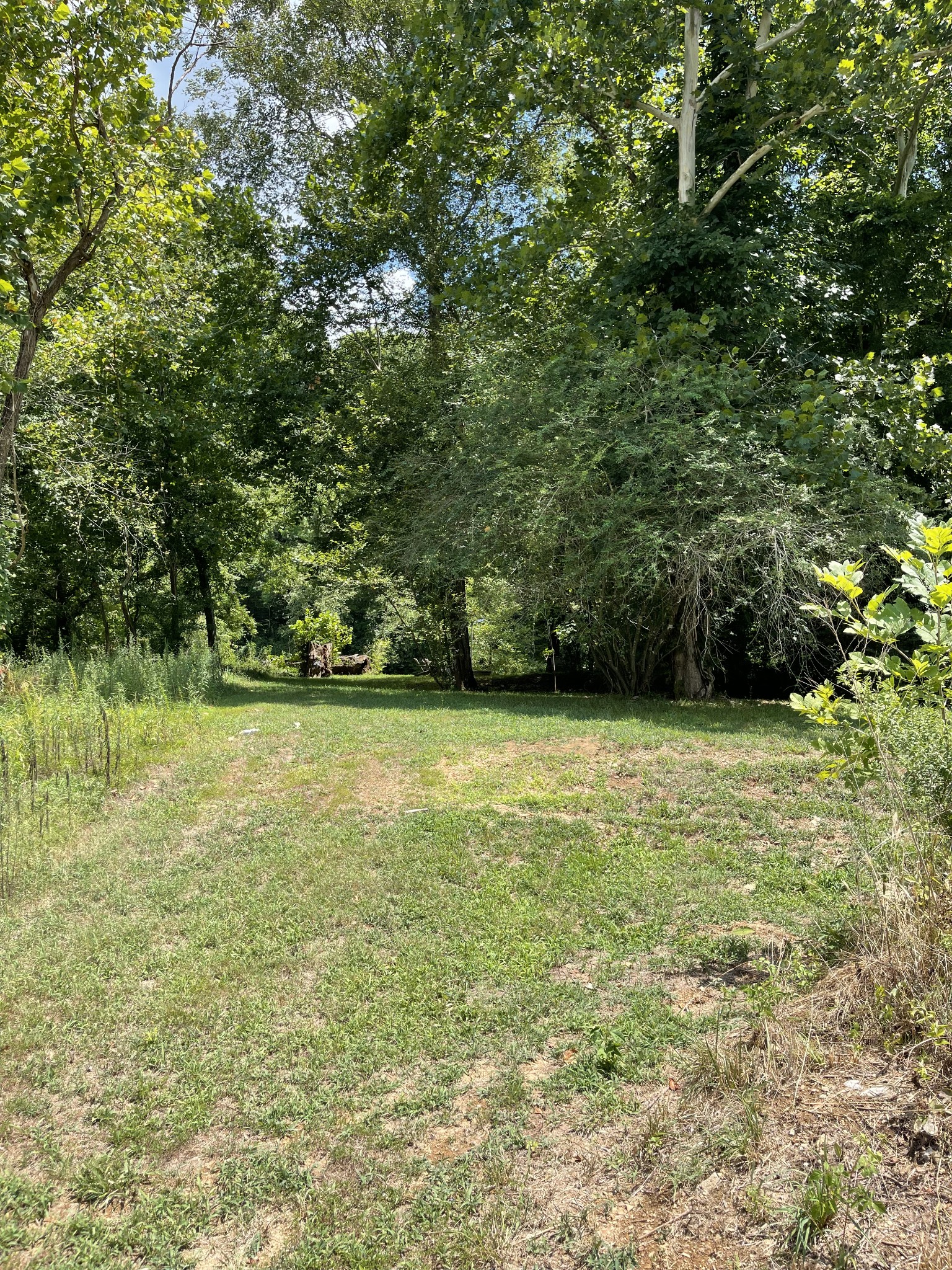 570 Dailey Loop Road Linden, TN 37096 - Photo 26 of 38 Gallery Image 26