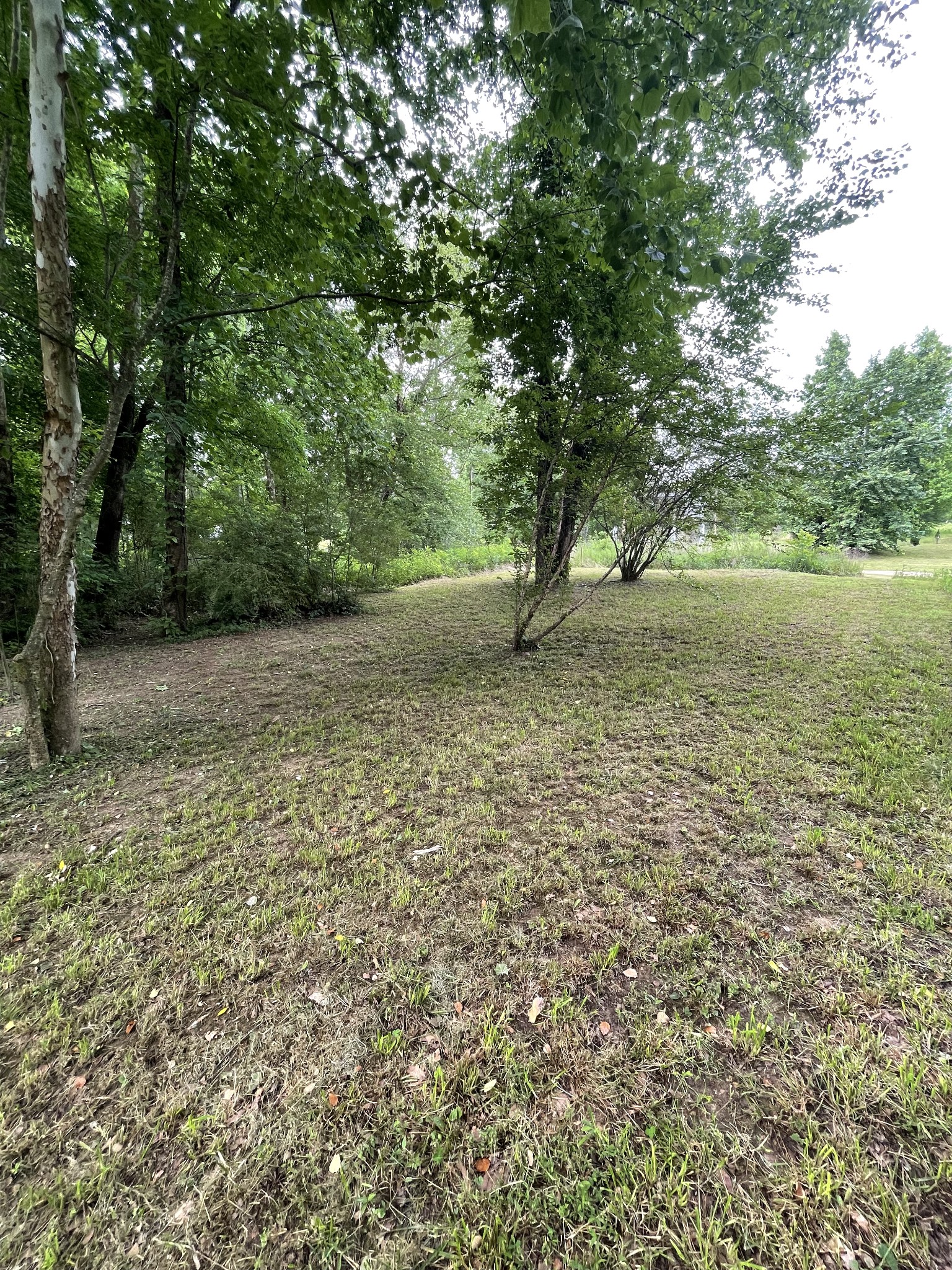570 Dailey Loop Road Linden, TN 37096 - Photo 27 of 38 Lot 36