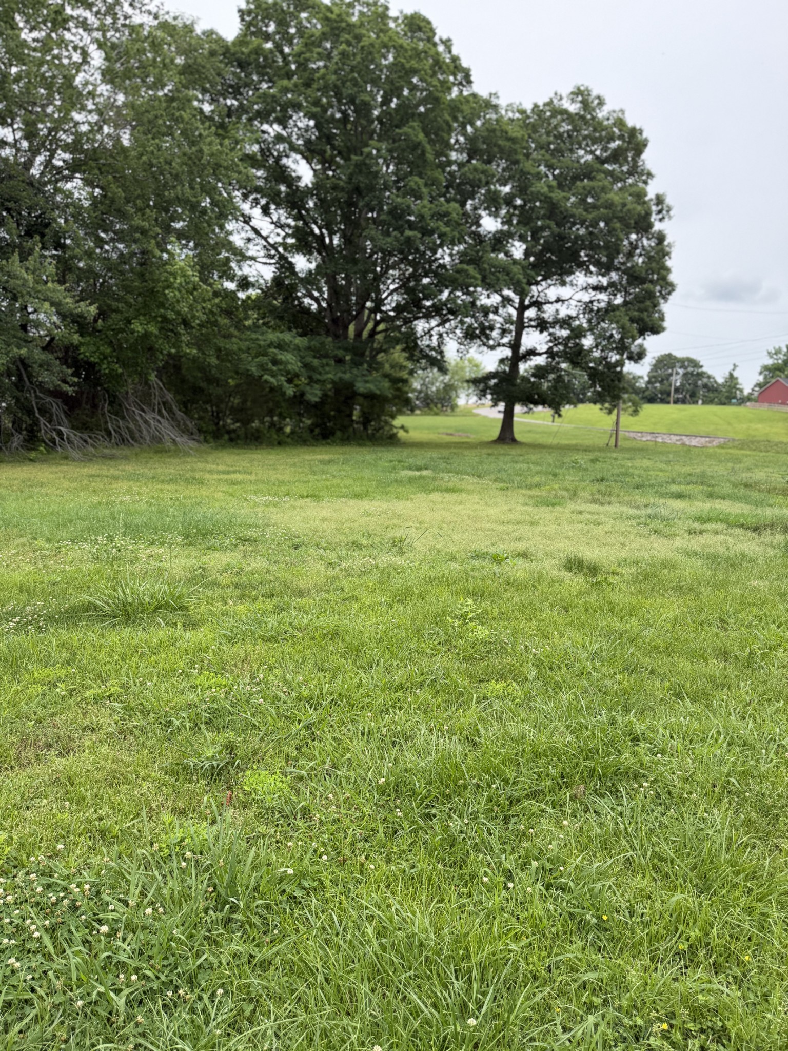 1751 Union Camp Road Lafayette, TN 37083 - Photo 16 of 17