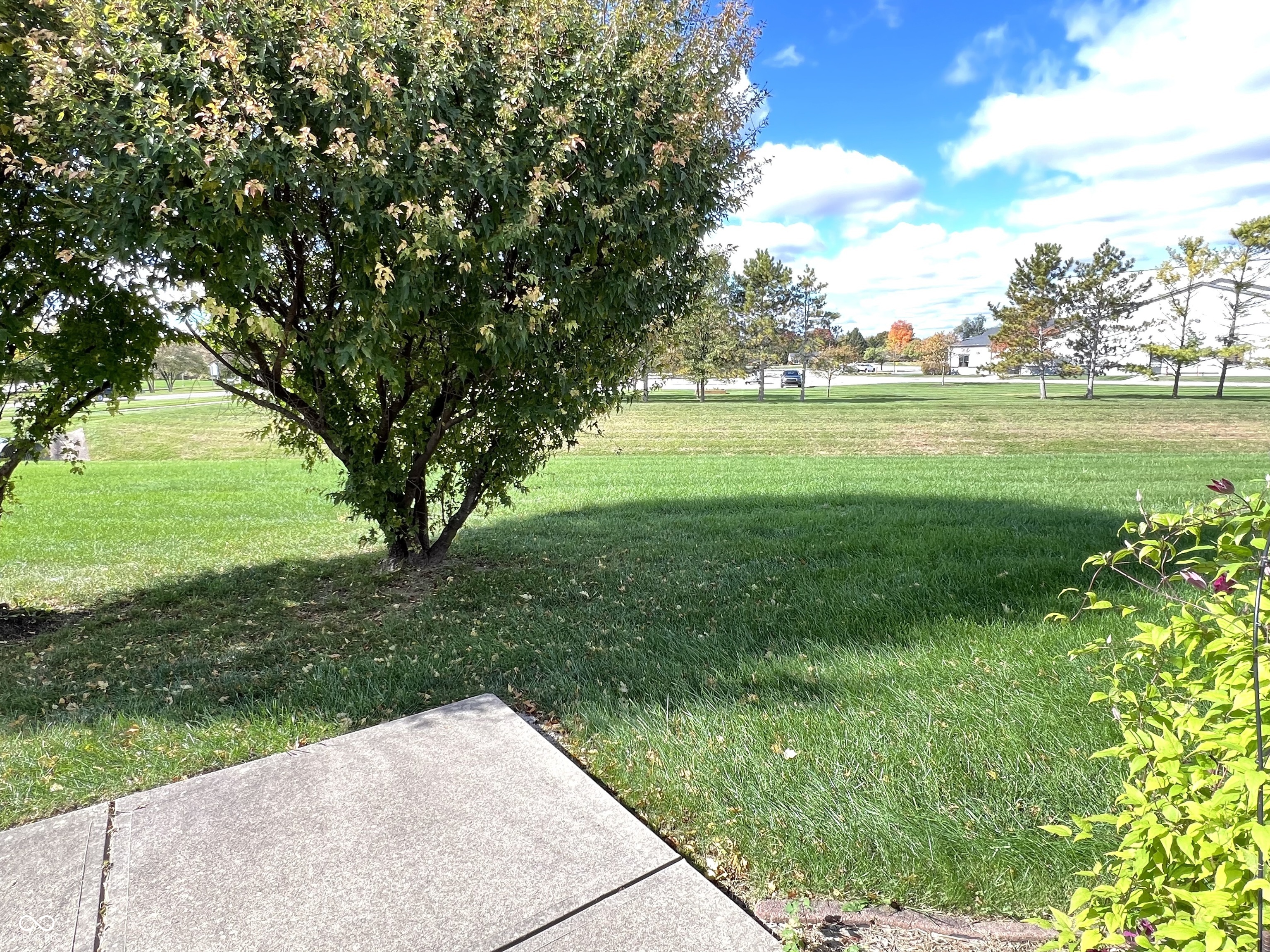 1232 Lexington Trail Greenfield, IN 46140 - Photo 25 of 28