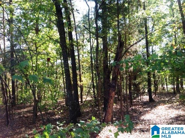 0 Whispering Pines Road, Unit 1 AMD 2 Oxford, AL 36203 - Photo 13 of 30
