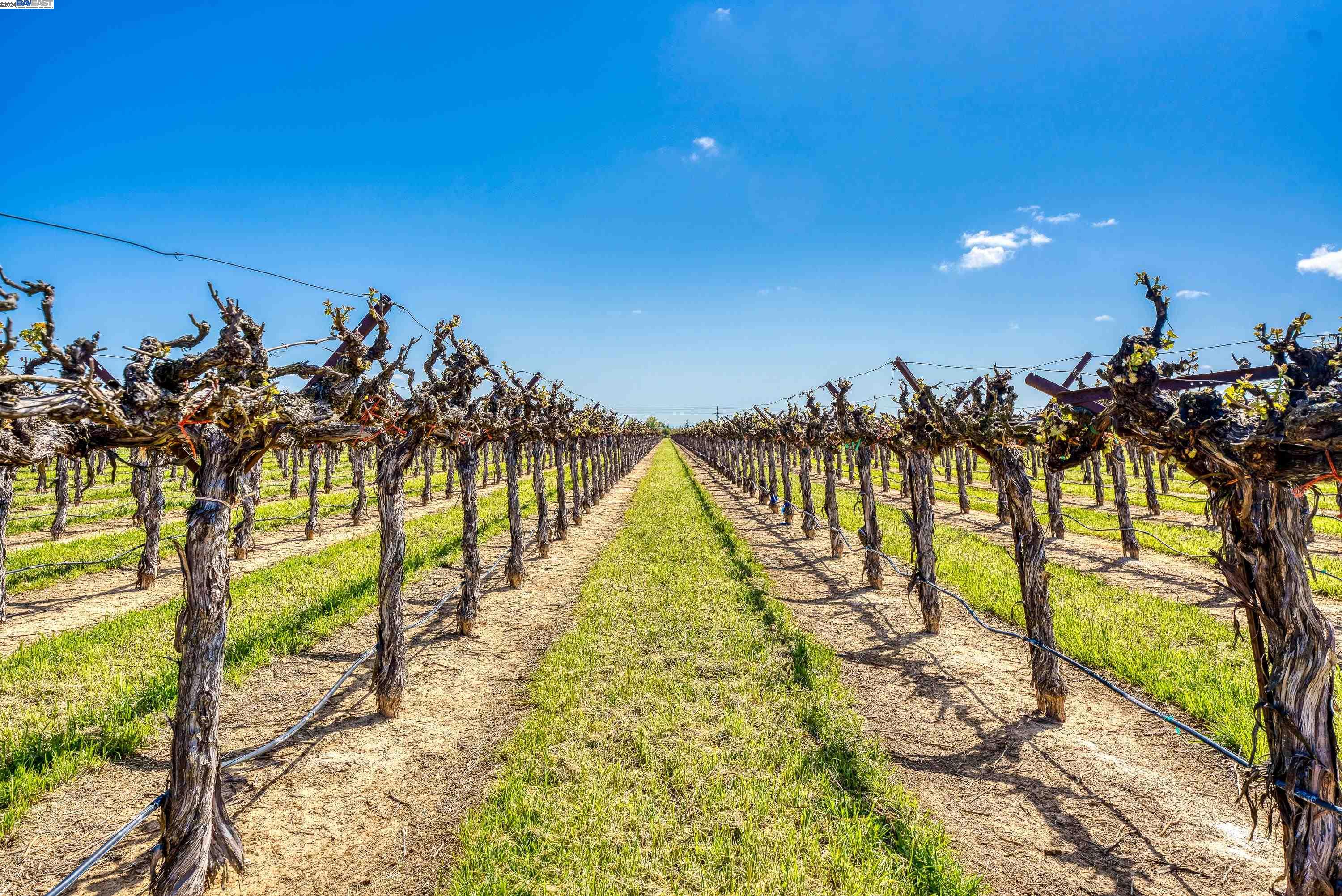 11699 Conley Road Galt, CA 95632 - Photo 5 of 31 a view of a swimming pool with a lake view