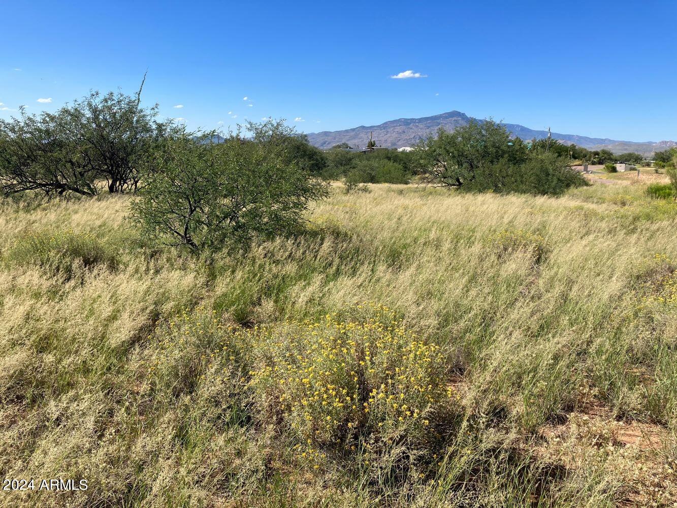 Lot #6 West Deer Run Road, Unit 6 Benson, AZ 85602 - Photo 1 of 8 image3 (32)
