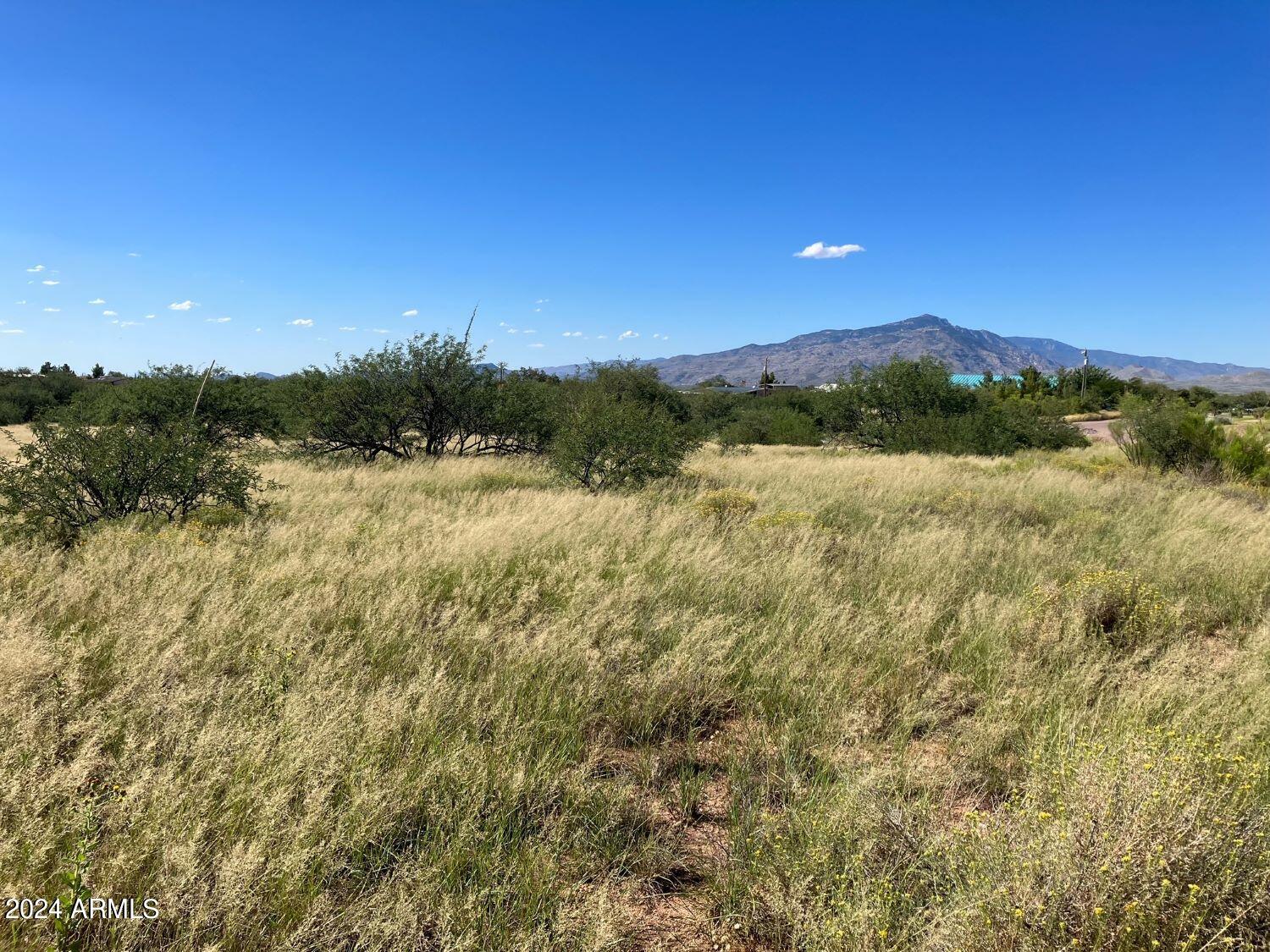 Lot #6 West Deer Run Road, Unit 6 Benson, AZ 85602 - Photo 2 of 8 image9 (1)
