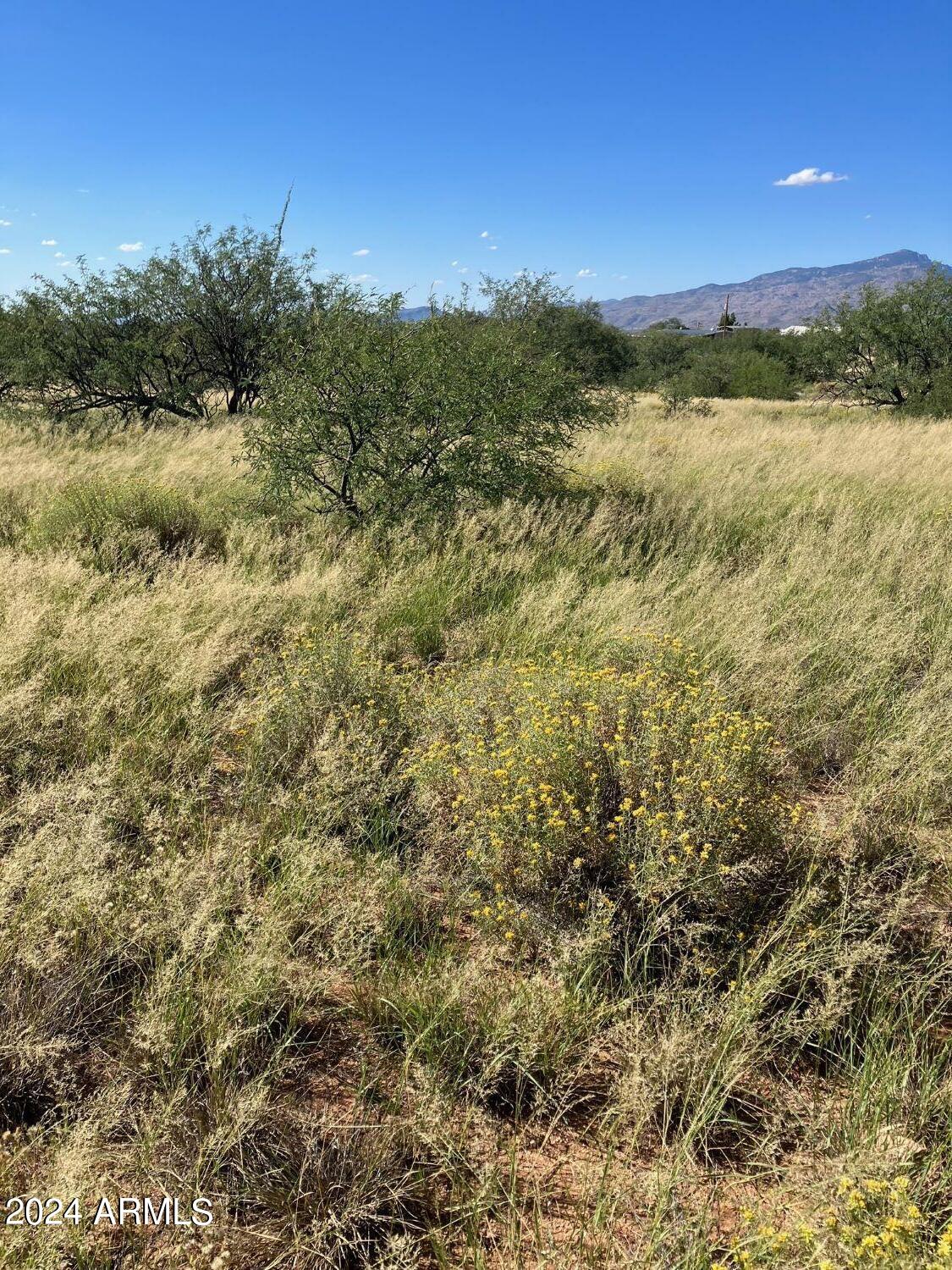 Lot #6 West Deer Run Road, Unit 6 Benson, AZ 85602 - Photo 3 of 8 image8 (2)