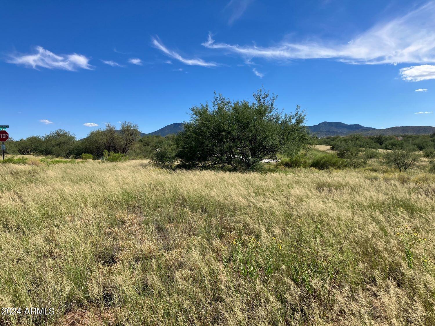 Lot #6 West Deer Run Road, Unit 6 Benson, AZ 85602 - Photo 5 of 8 image6 (12)