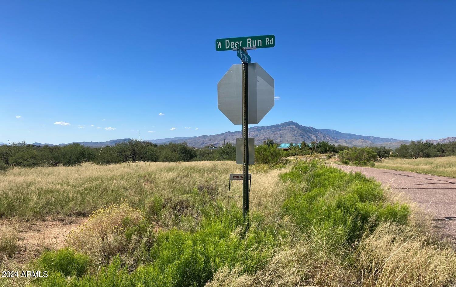 Lot #6 West Deer Run Road, Unit 6 Benson, AZ 85602 - Photo 7 of 8 image0 (30)