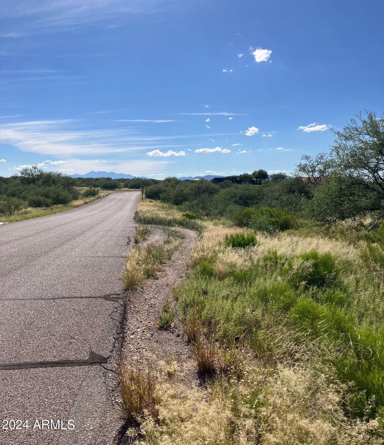 Lot #6 West Deer Run Road, Unit 6 Benson, AZ 85602 - Photo 8 of 8 image1 (41)