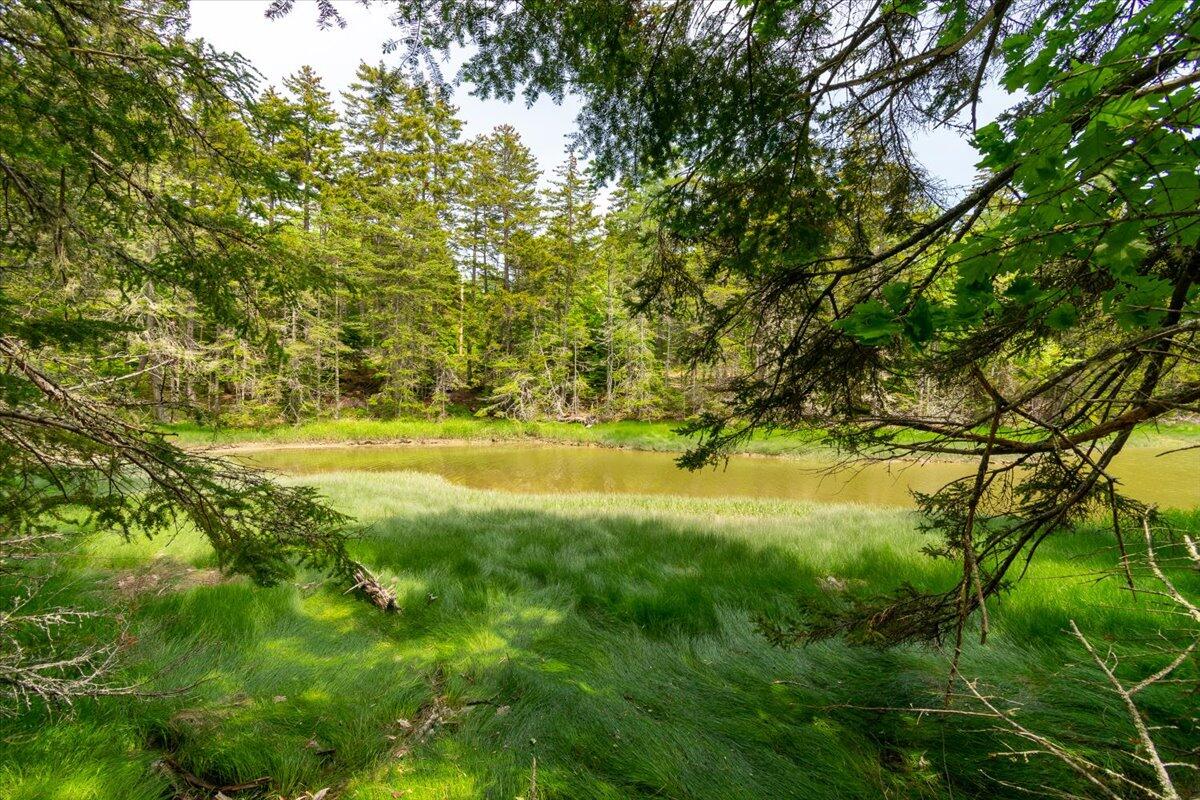 Lot 1 Boulder Hill Road Tenants Harbor, ME 04860 - Photo 19 of 22 Lot 1 Boulder Hill Road, Saint George