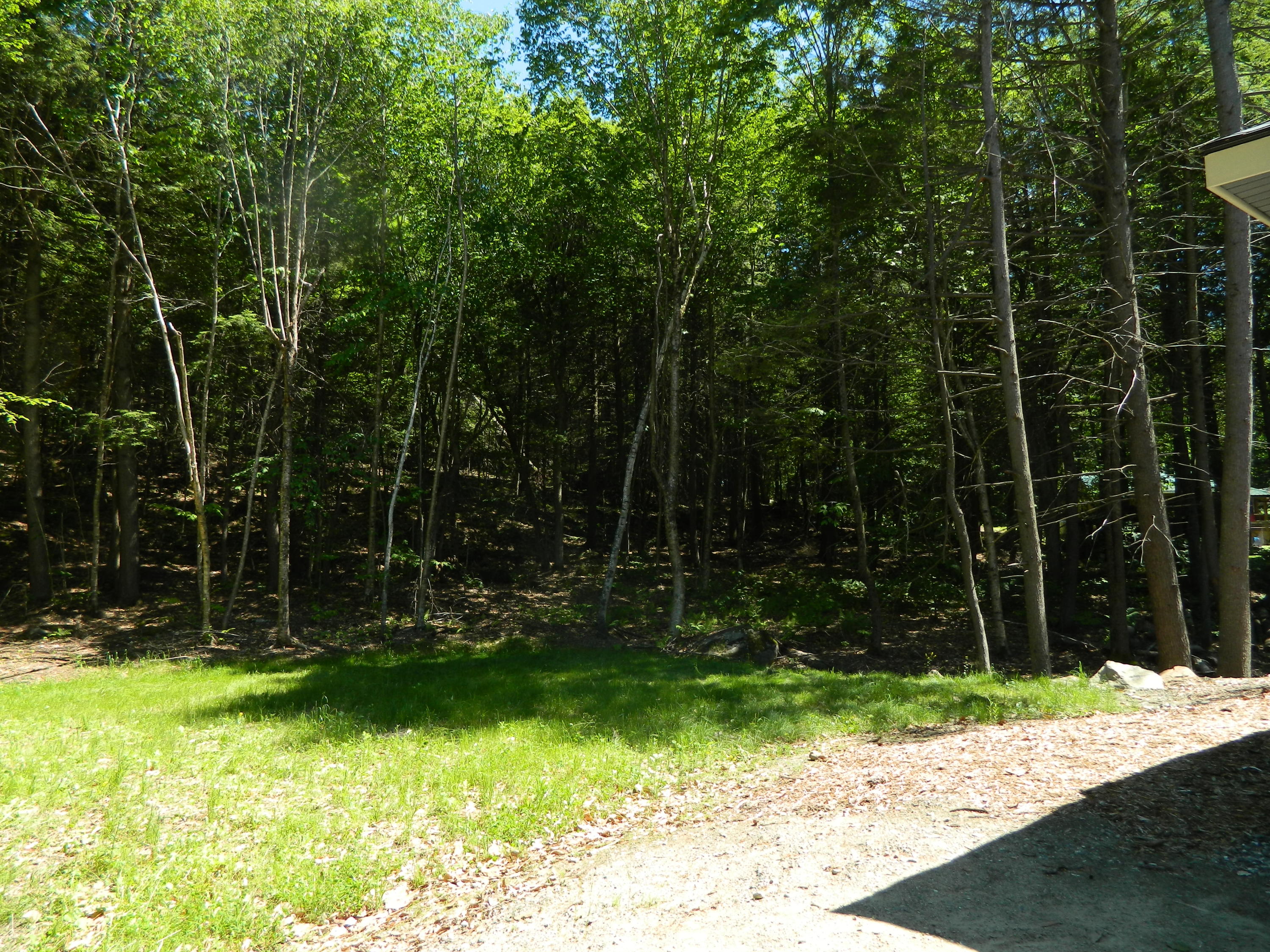 175 Torsey Shores Road Readfield, ME 04355 - Photo 14 of 23 Left of home