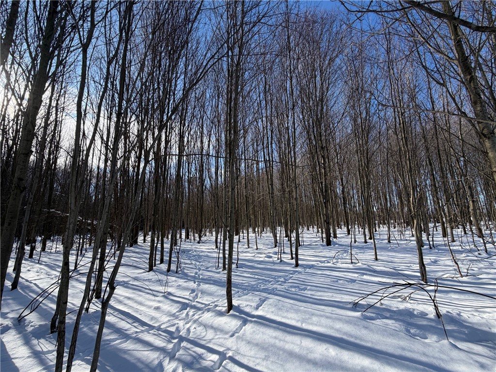 0 Carpenter Road Evans, NY 14006 - Photo 2 of 13