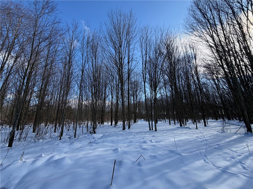 0 Carpenter Road Evans, NY 14006 - Photo 4 of 13