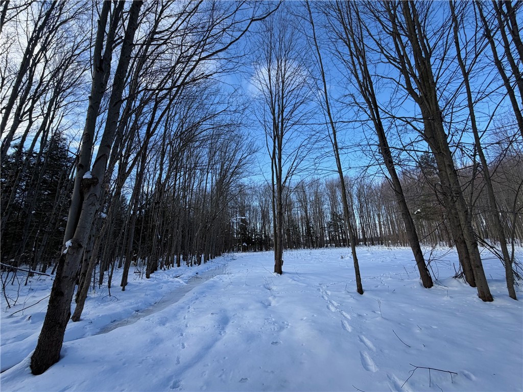 0 Carpenter Road Evans, NY 14006 - Photo 5 of 13
