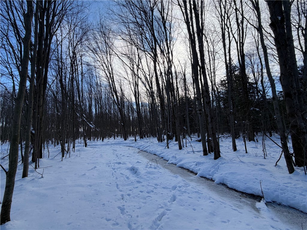 0 Carpenter Road Evans, NY 14006 - Photo 6 of 13