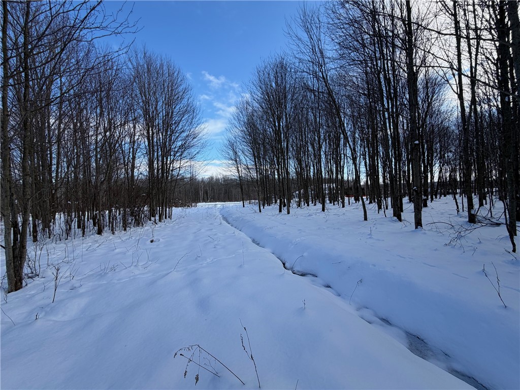 0 Carpenter Road Evans, NY 14006 - Photo 7 of 13