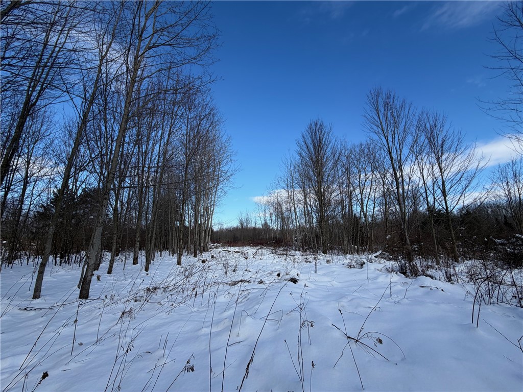 0 Carpenter Road Evans, NY 14006 - Photo 8 of 13