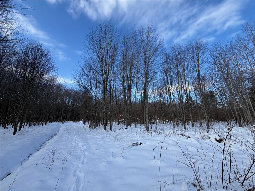 0 Carpenter Road Evans, NY 14006 - Photo 9 of 13