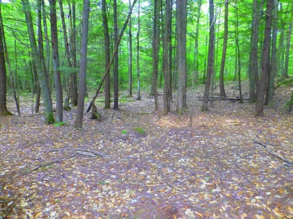 Lot #4 Burbank Hill Road Strong, ME 04983 - Photo 10 of 19 Photo