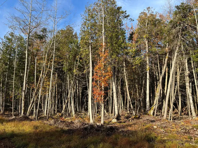 $74,000 | 70-014 Sunrise Shore Road, Steuben, ME 04680