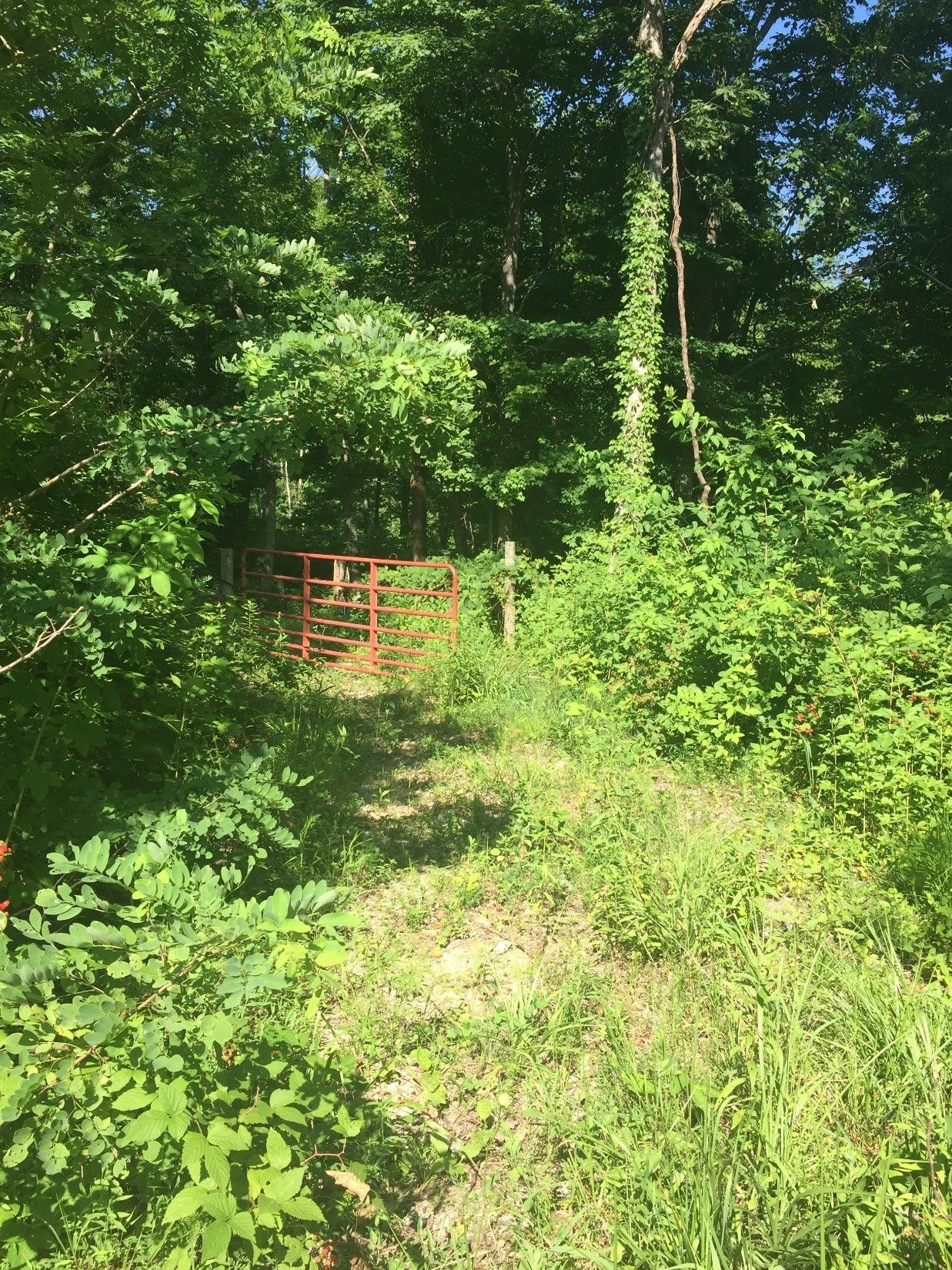 1234 Duke Powell Road McKee, KY 40447 - Photo 13 of 15 Photo 13