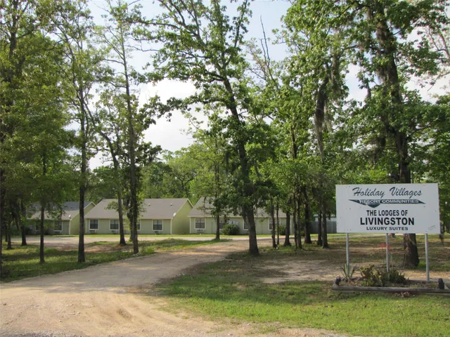 a view of a park that has a tree