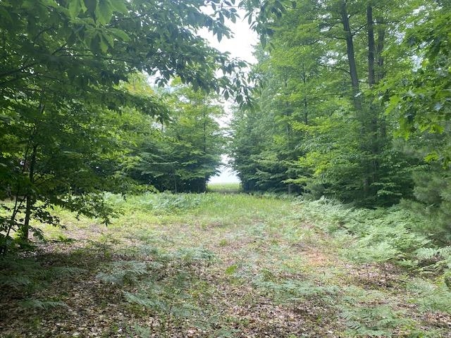 Green Briar Road Lake Ann, MI 49650 - Photo 13 of 16 1947287-e7233de4-39c2-45d4-94ff-d5a672927175.JPG
