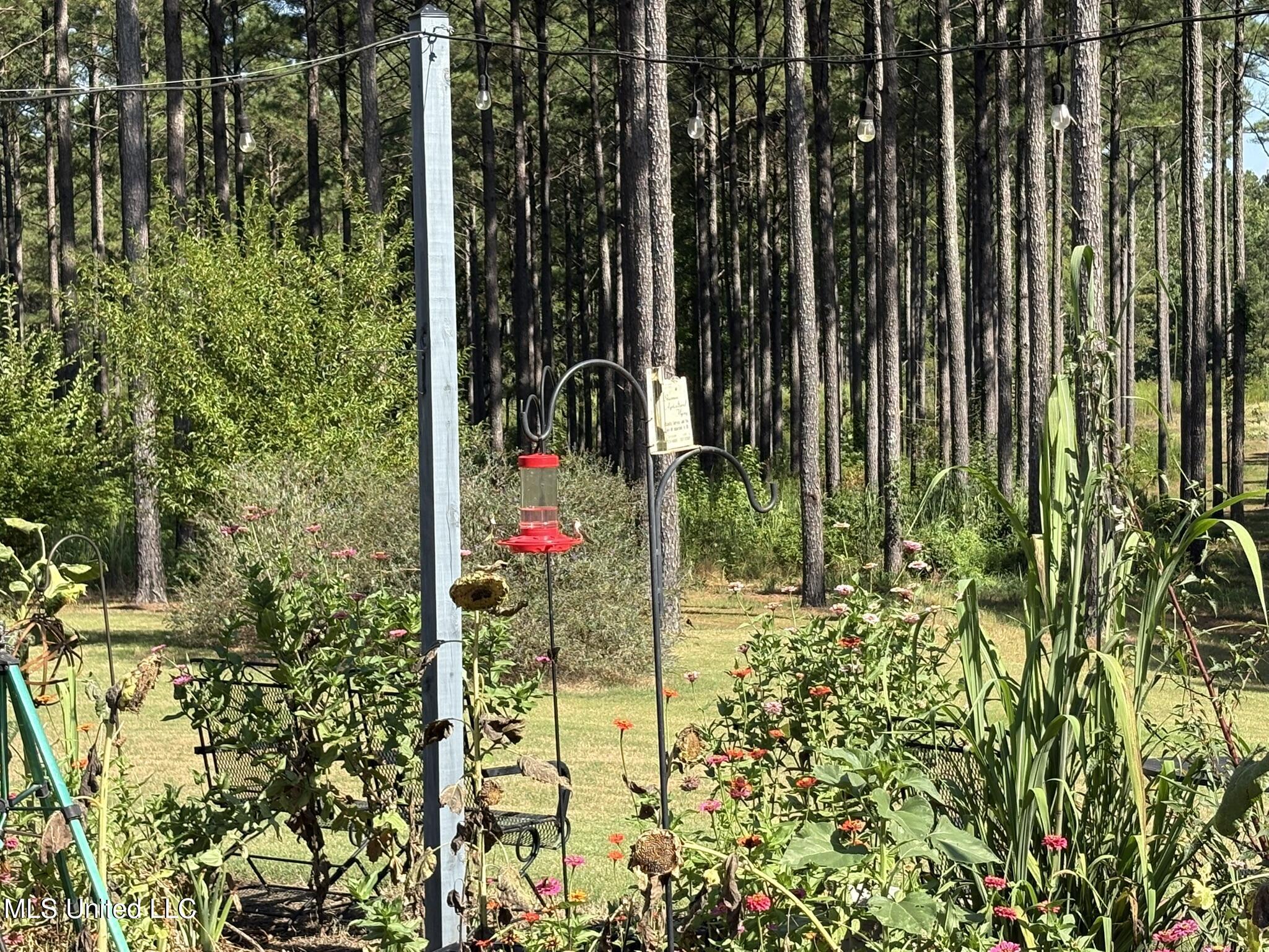 333 Paul White Road Como, MS 38619 - Photo 22 of 53 333 Paul White RD Patio 2