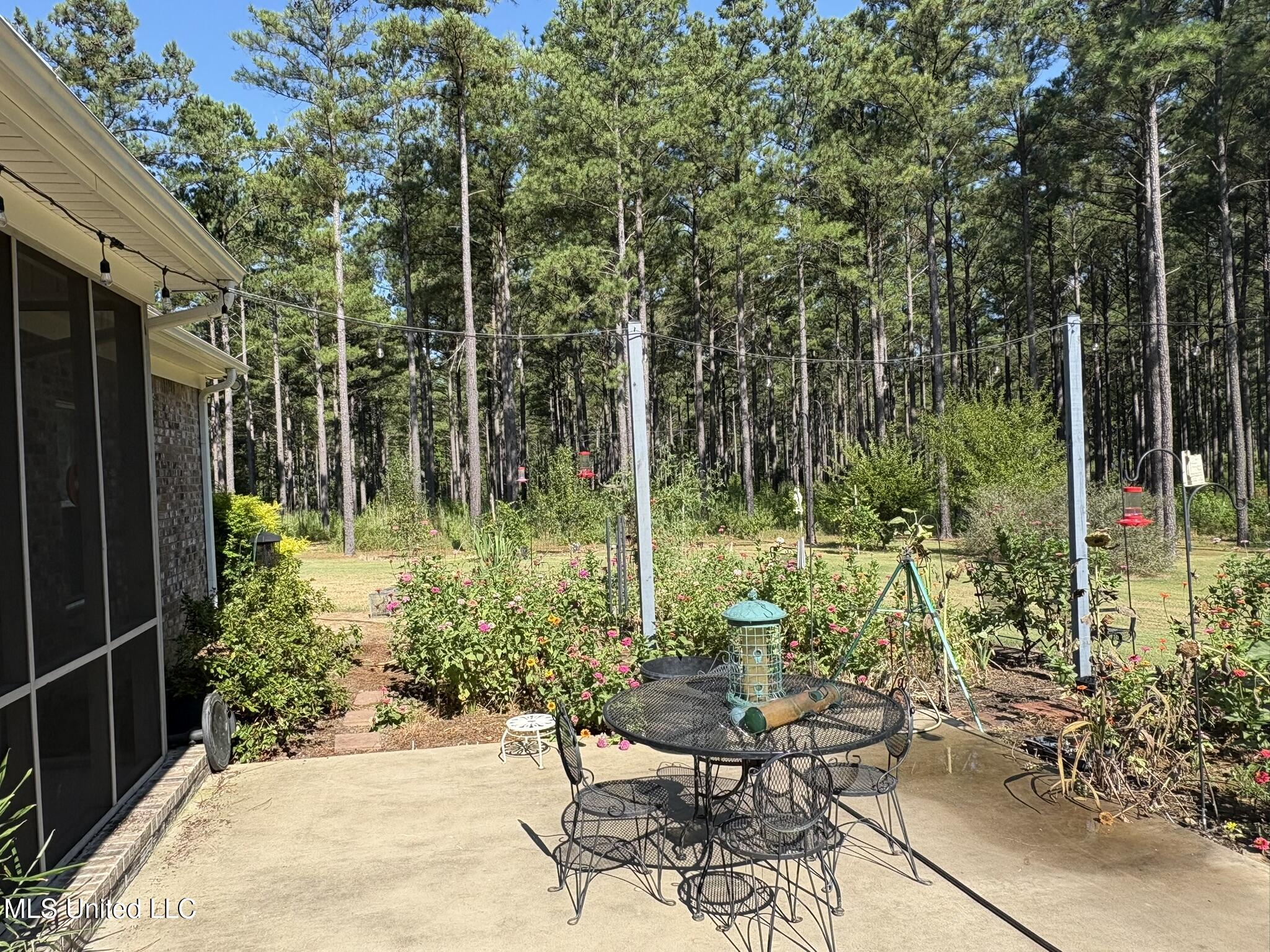 333 Paul White Road Como, MS 38619 - Photo 23 of 53 333 Paul White RD Patio