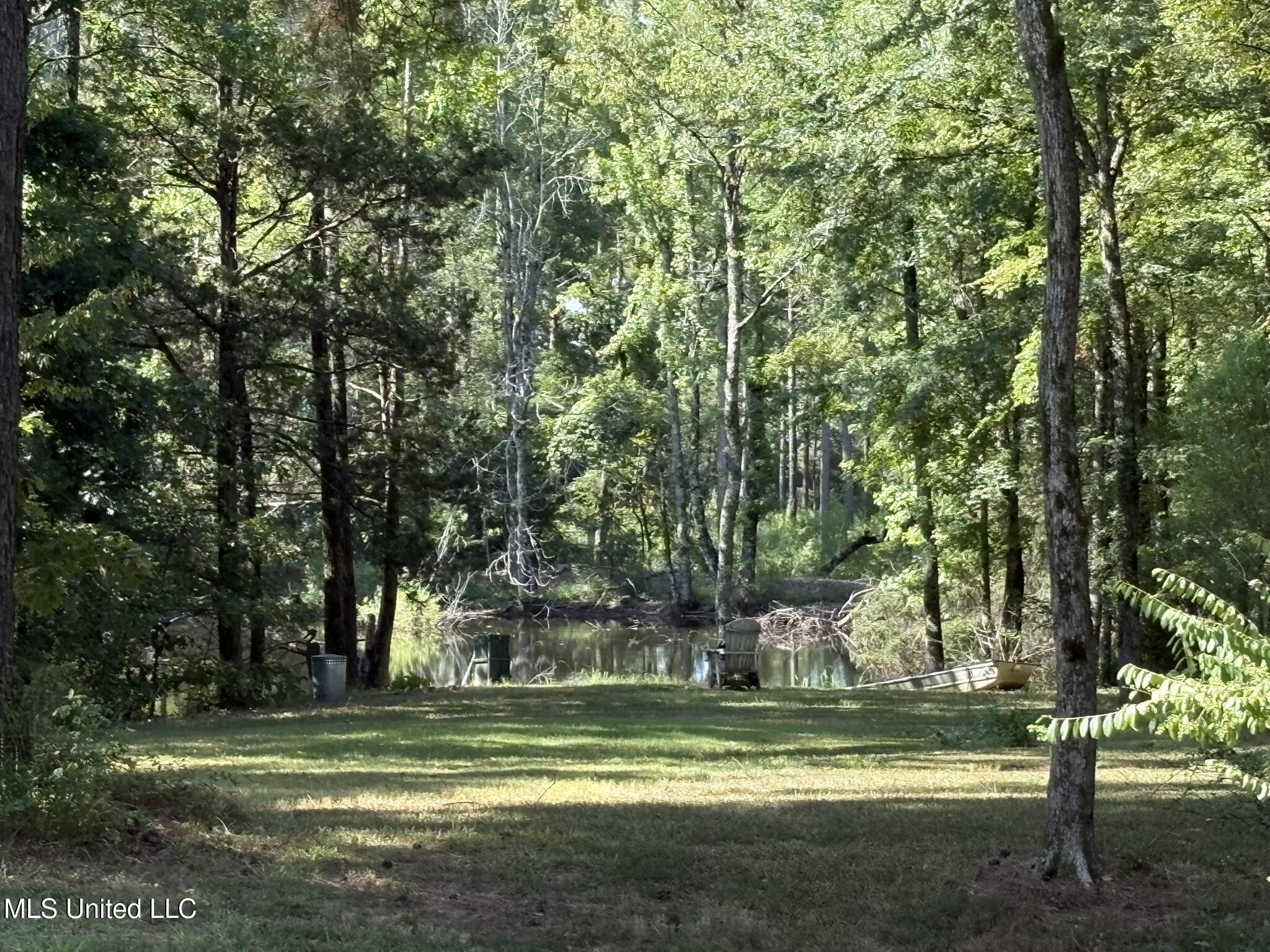 333 Paul White Road Como, MS 38619 - Photo 31 of 53 333 Paul White RD Pond