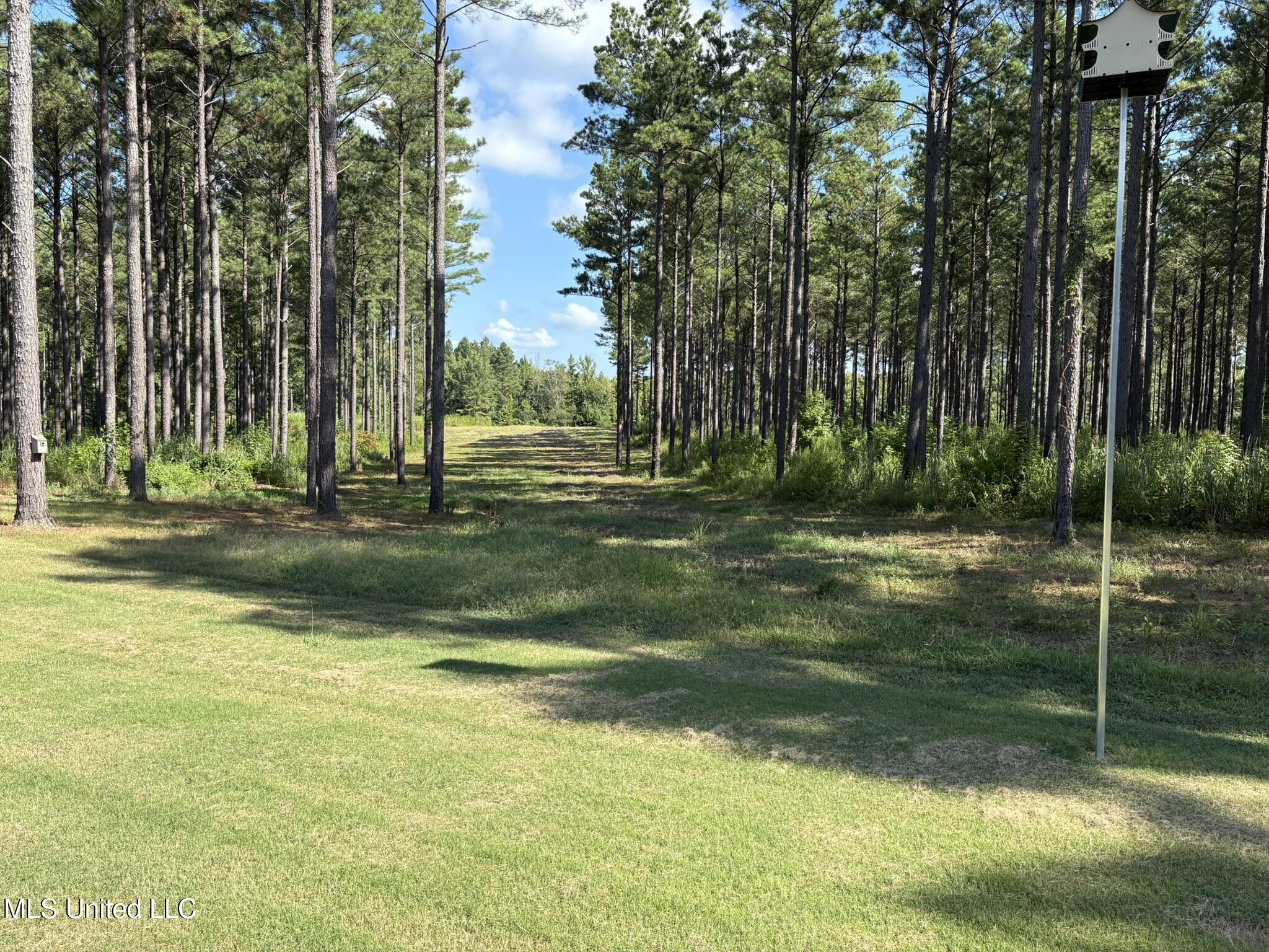 333 Paul White Road Como, MS 38619 - Photo 32 of 53 333 Paul White RD PW3