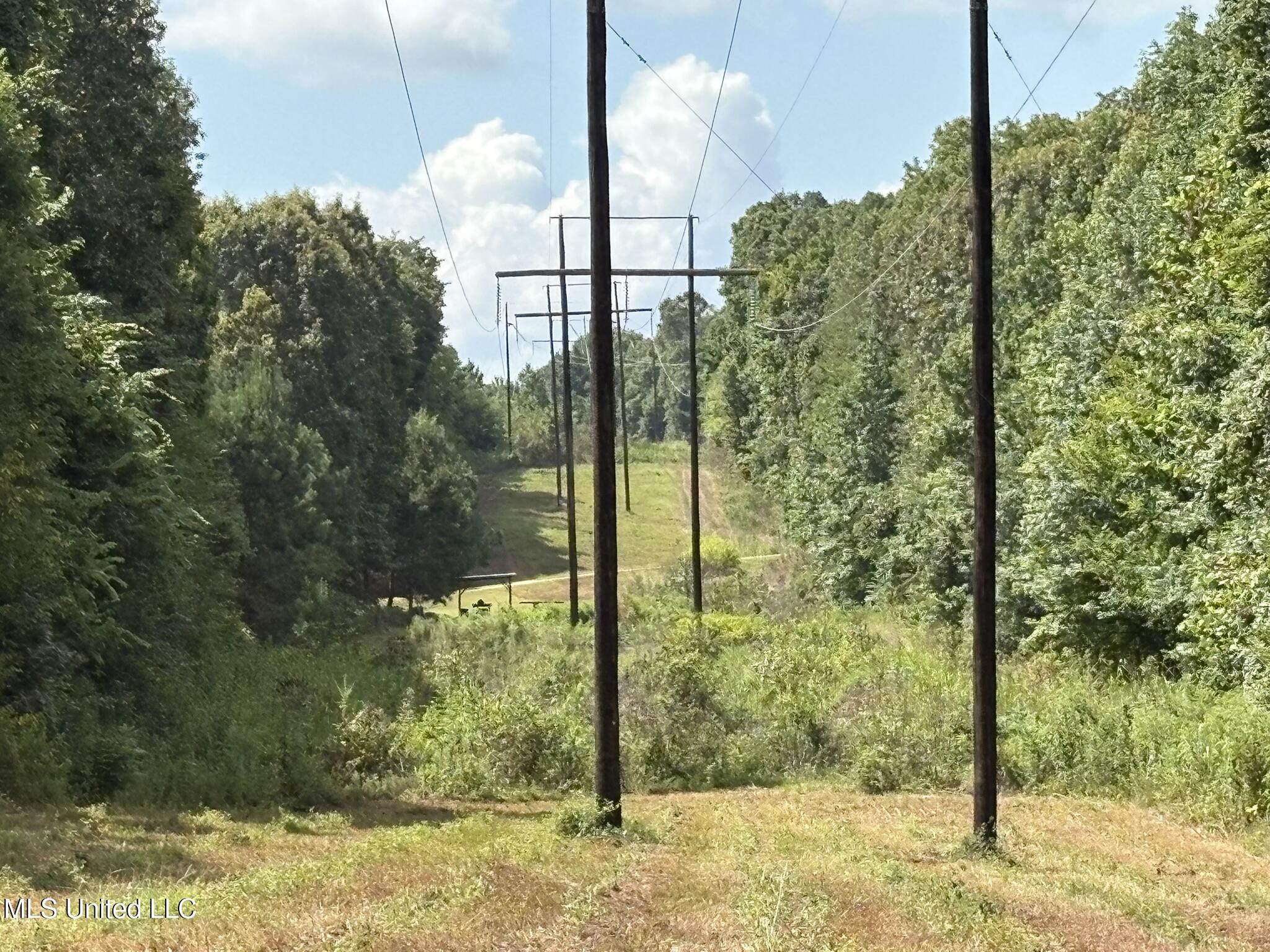 333 Paul White Road Como, MS 38619 - Photo 50 of 53 333 Paul White RD Woods12