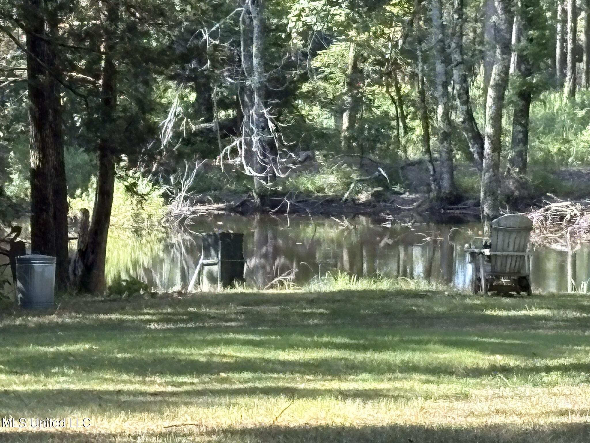 333 Paul White Road Como, MS 38619 - Photo 53 of 53 333 Paul White RD 3Pond