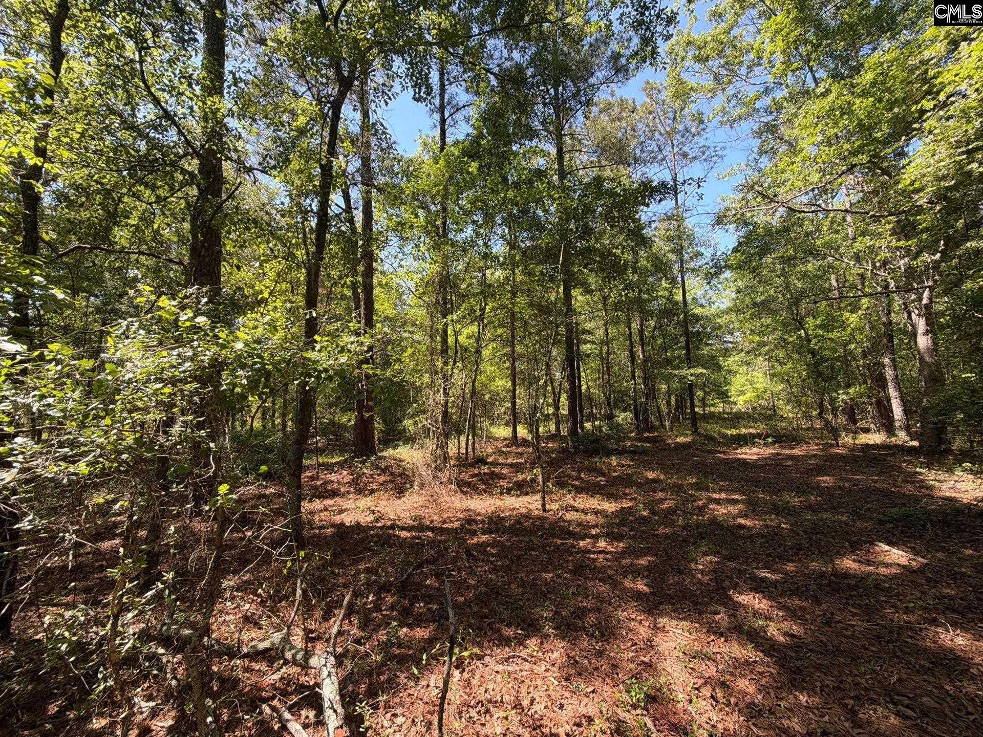 8 Holstein Road Wagener, SC 29164 - Photo 14 of 14