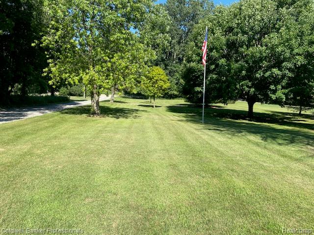 4615 5 Lakes Road North Branch, MI 48461 - Photo 4 of 27 Expansive front lawn area featuring mature trees
