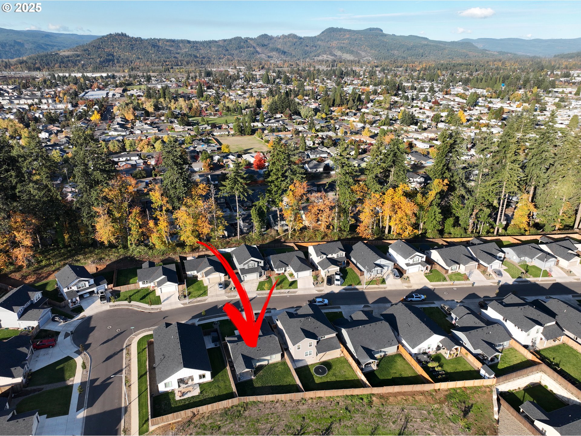 4967 Cedar View Drive Springfield, OR 97478 - Photo 21 of 22 an aerial view of residential houses with outdoor space