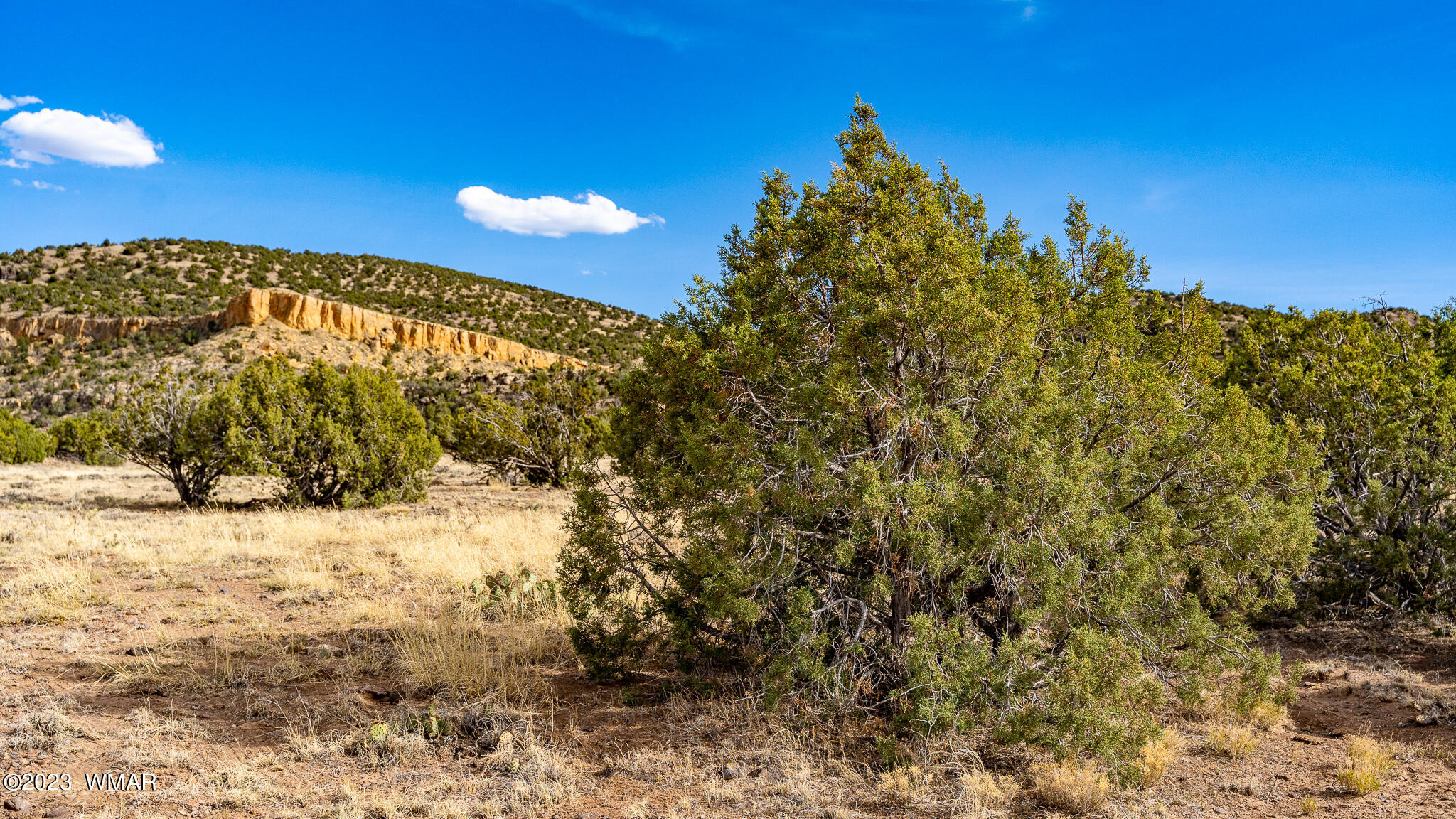 Tbd Tbd Last Mesa Ranch Concho, AZ 85924 - Photo 1 of 24