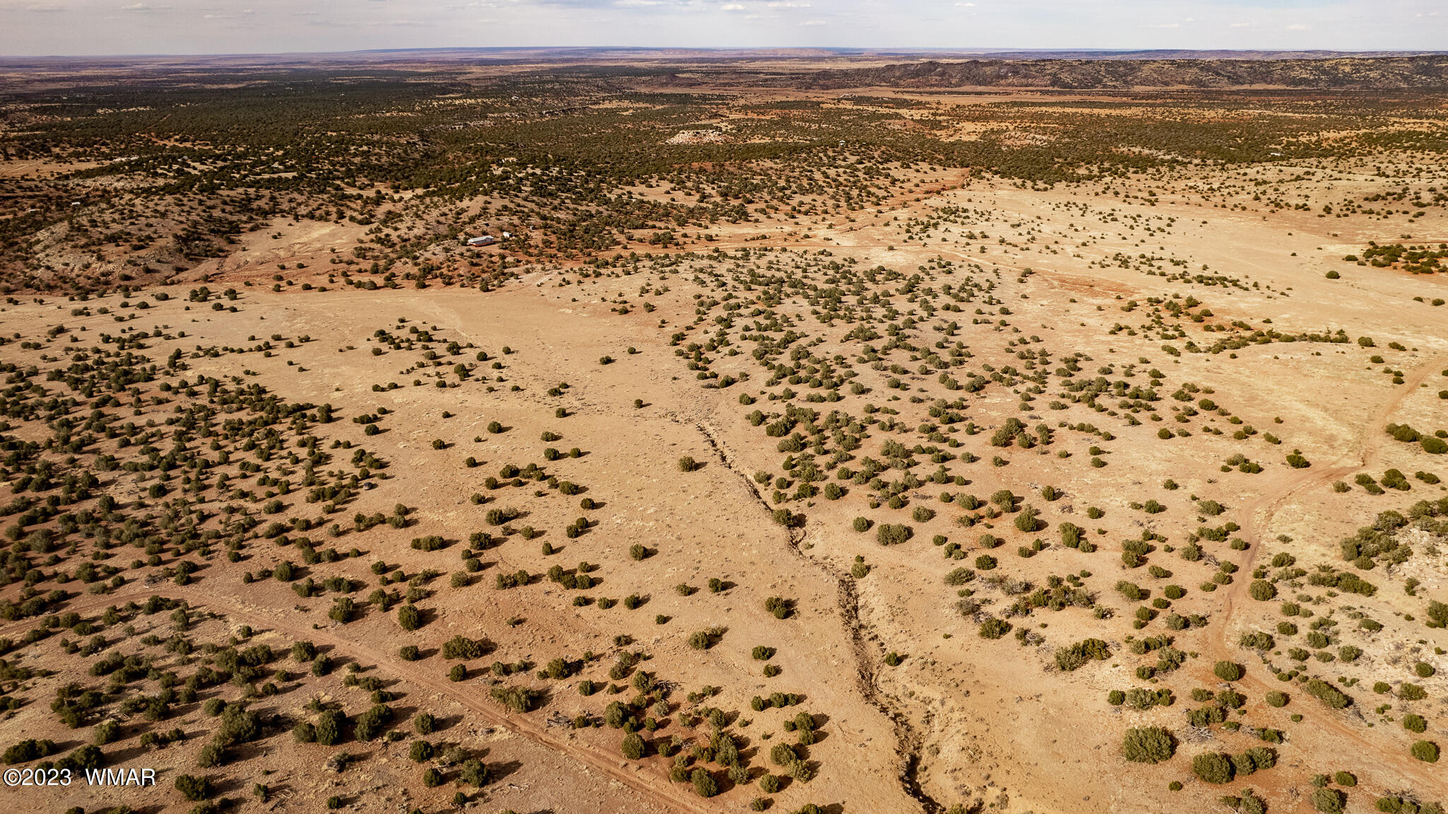 Tbd Tbd Last Mesa Ranch Concho, AZ 85924 - Photo 14 of 24
