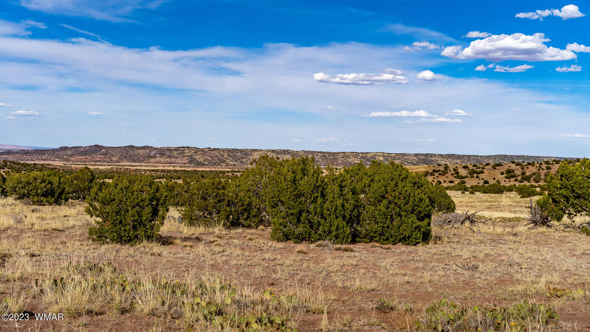 Tbd Tbd Last Mesa Ranch Concho, AZ 85924 - Photo 19 of 24