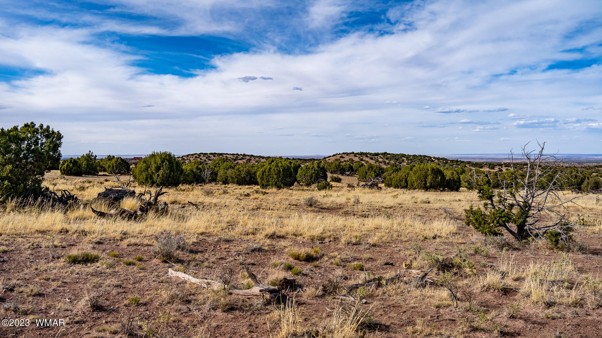 Tbd Tbd Last Mesa Ranch Concho, AZ 85924 - Photo 20 of 24