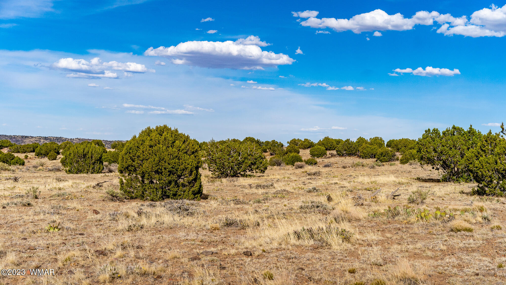 Tbd Tbd Last Mesa Ranch Concho, AZ 85924 - Photo 22 of 24