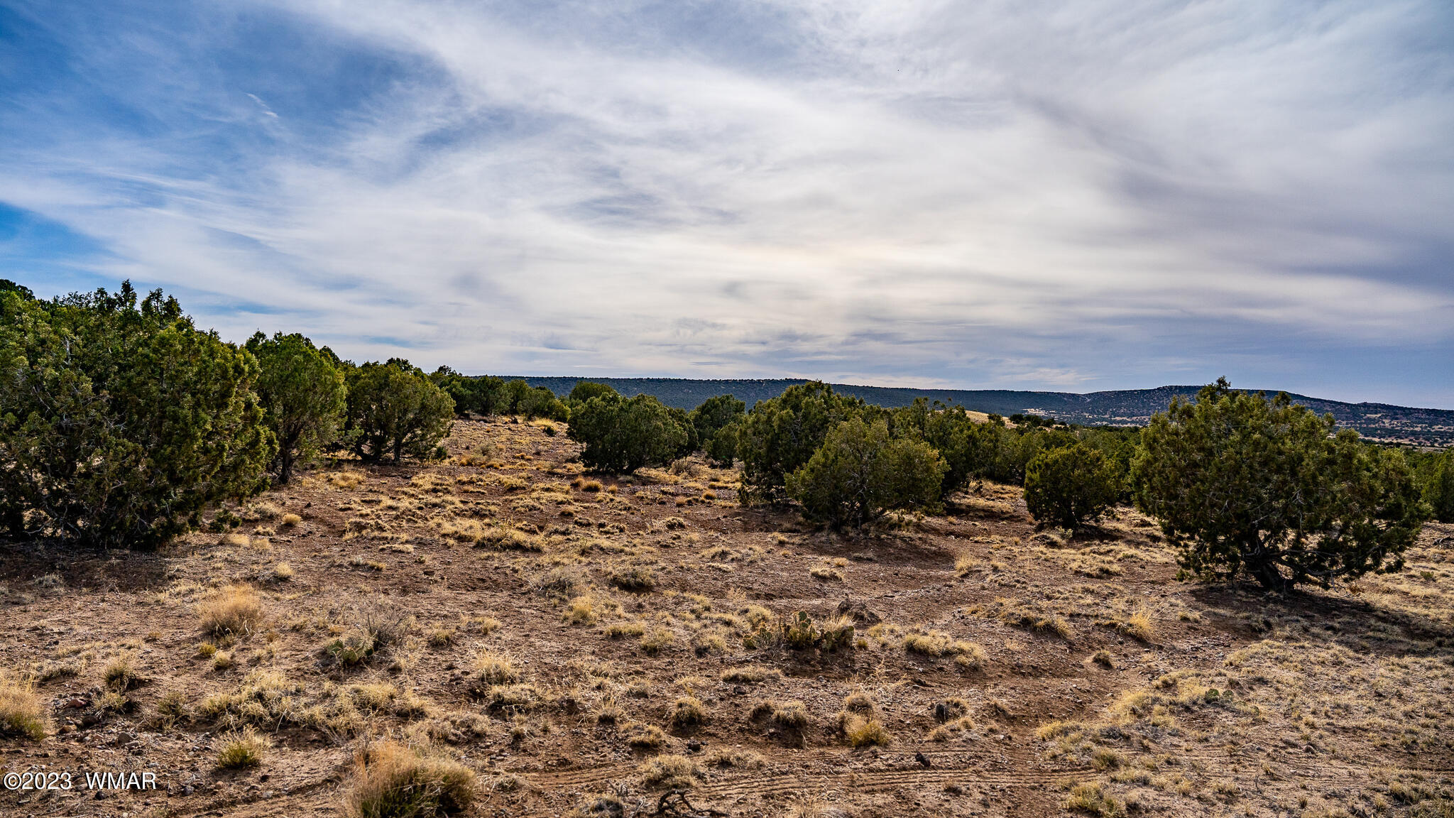 Tbd Tbd Last Mesa Ranch Concho, AZ 85924 - Photo 23 of 24