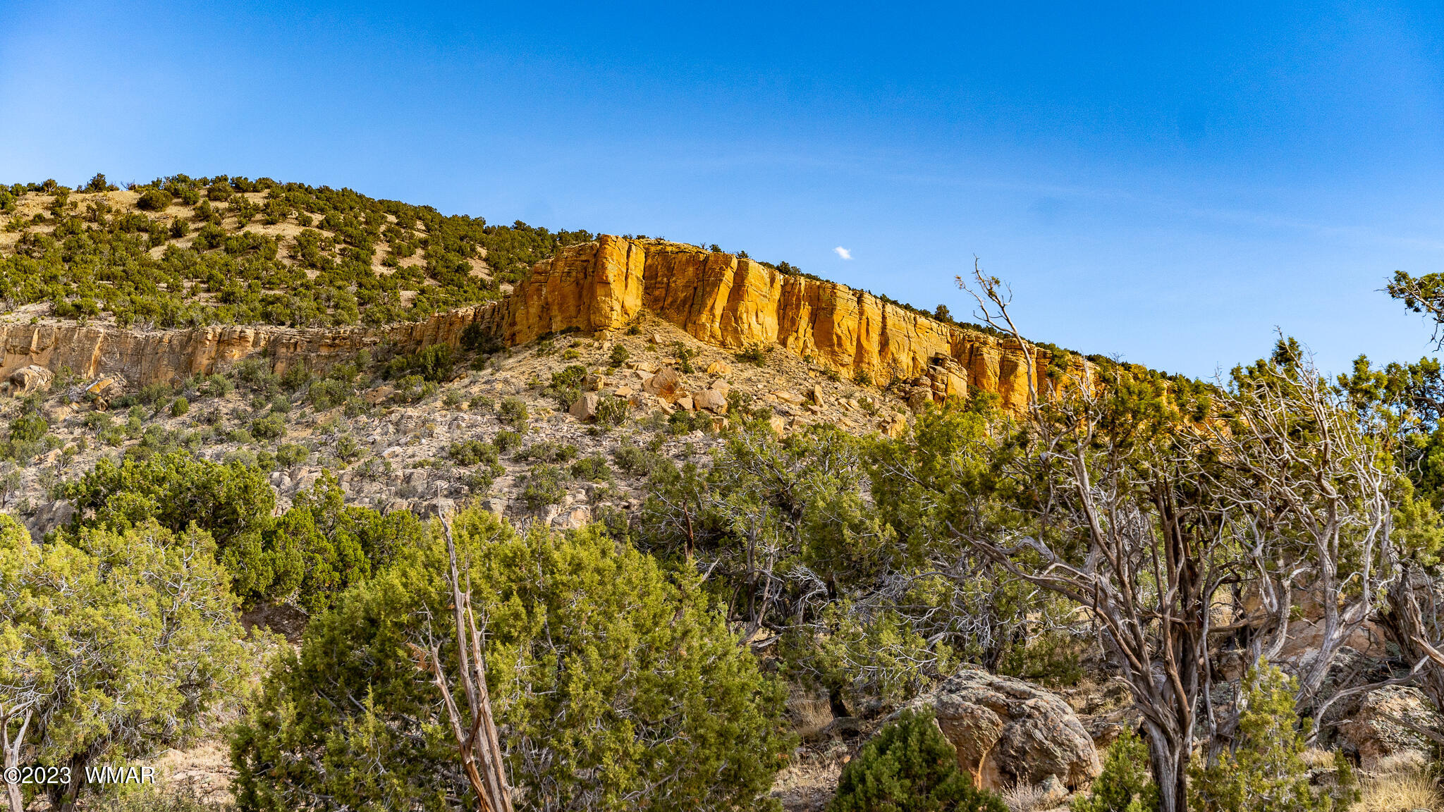 Tbd Tbd Last Mesa Ranch Concho, AZ 85924 - Photo 5 of 24