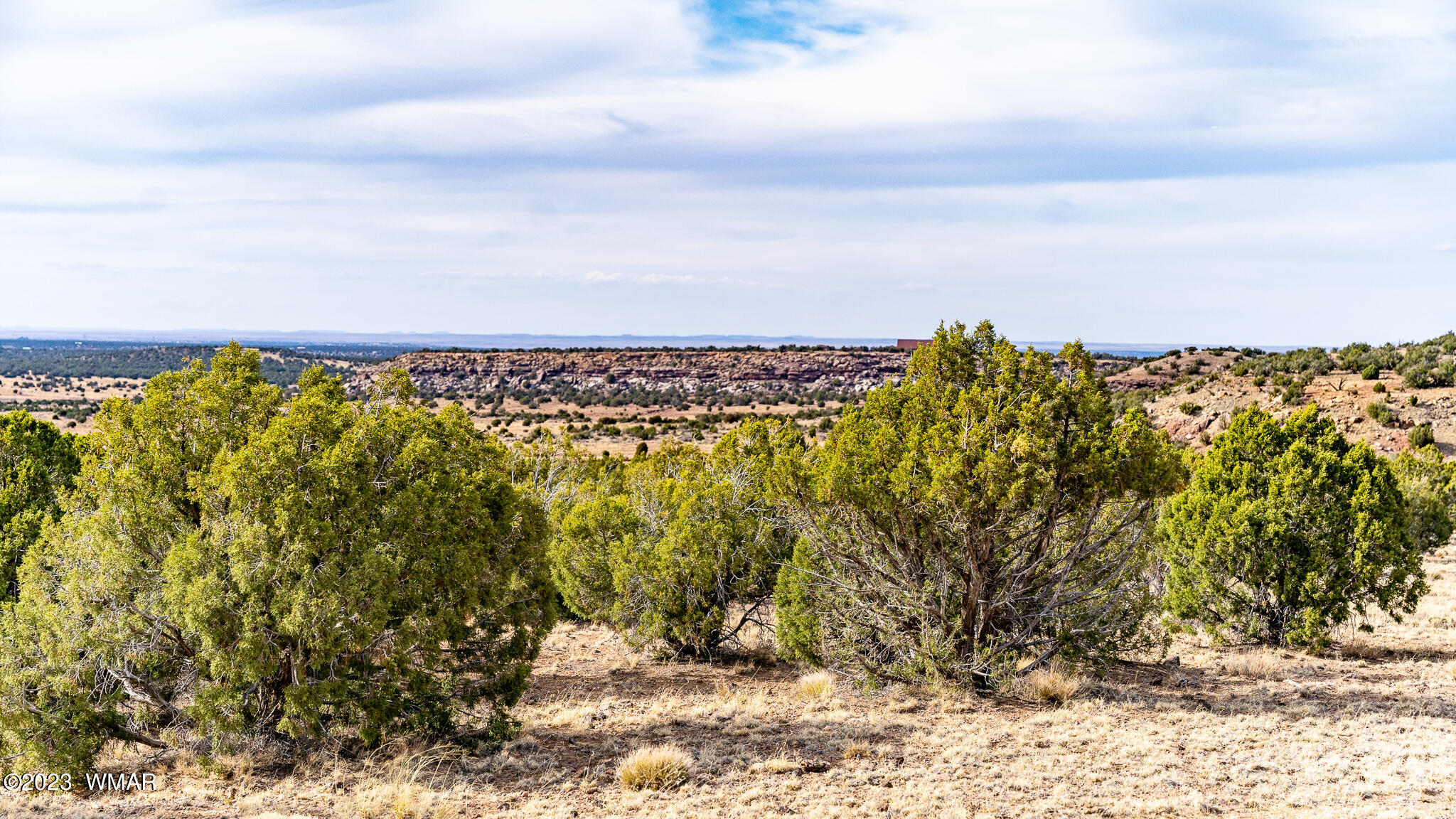 Tbd Tbd Last Mesa Ranch Concho, AZ 85924 - Photo 7 of 24